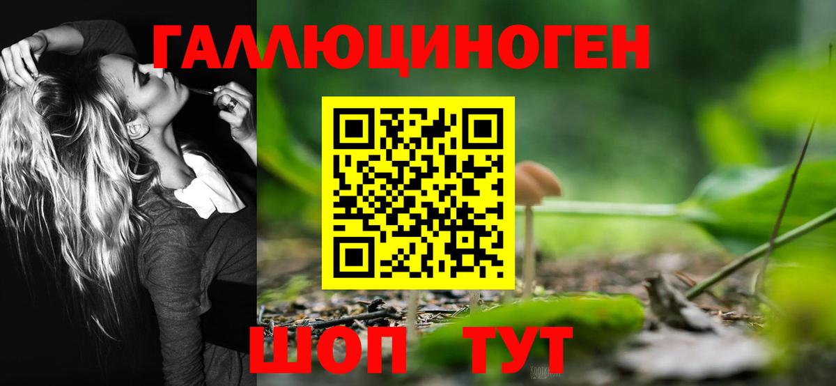 Псилоцибиновые грибы Psilocybe Рузаевка