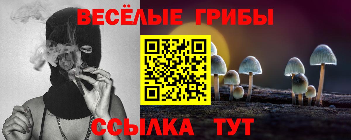 Галлюциногенные грибы ЛСД  Вход с VPN  Рузаевка 